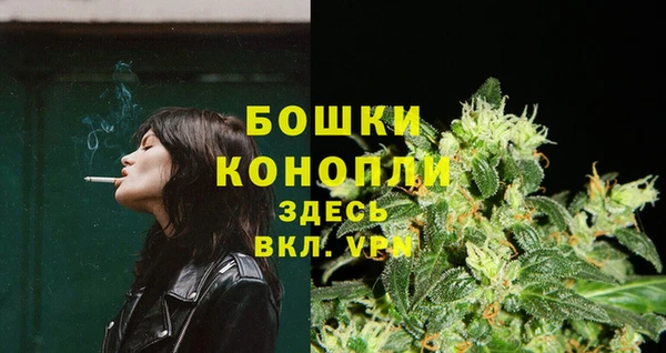 ГАЛЛЮЦИНОГЕННЫЕ ГРИБЫ Вяземский