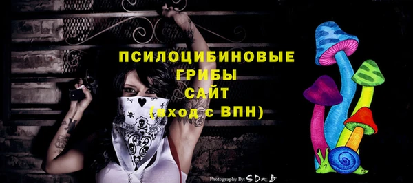 таблы Горнозаводск