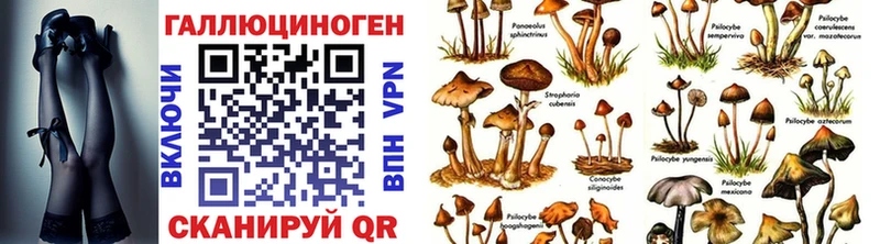 Псилоцибиновые грибы Magic Shrooms  KRAKEN ссылка  площадка клад  Минусинск 