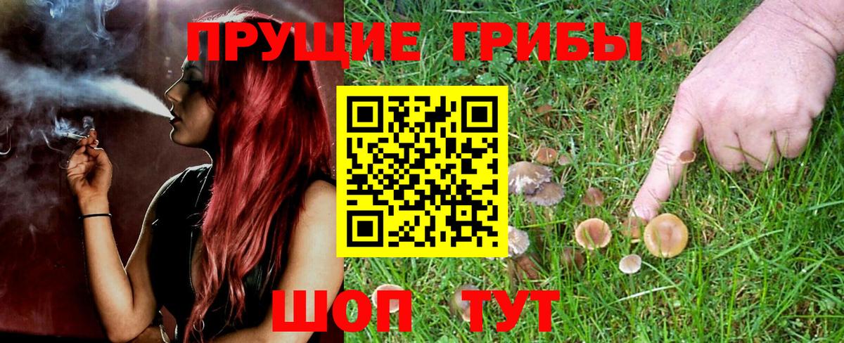 Галлюциногенные грибы мицелий  Вход с VPN  Минусинск 