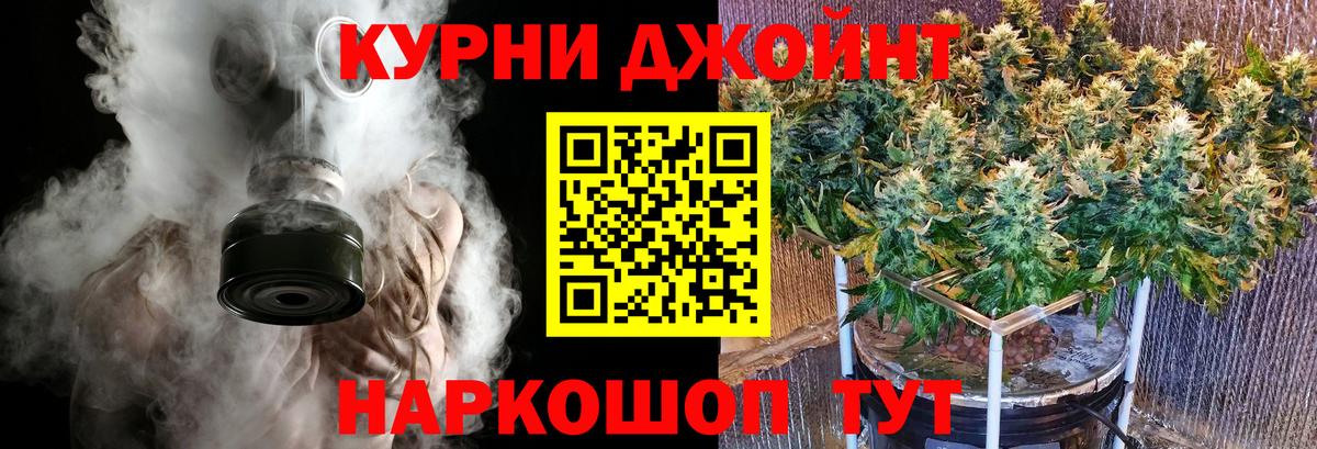 Каннабис конопля Минусинск